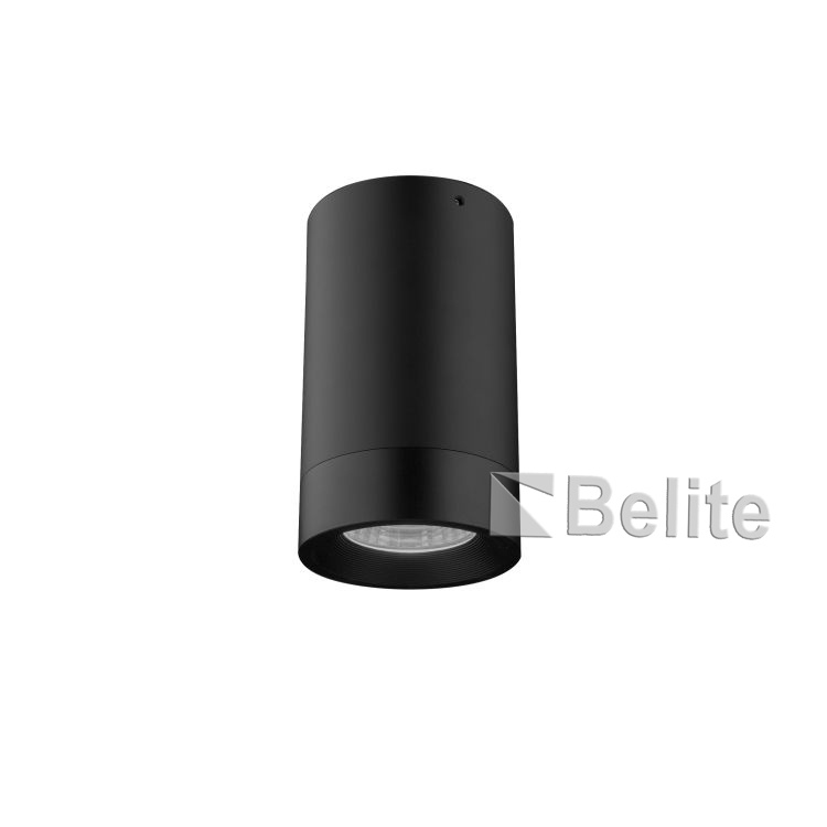 BELITE IP65 9w 15W led round wall light downlight 24V DC RGB 