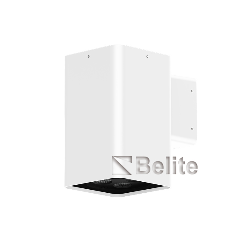 BELITE 10W up or down wall light surface mount aluminum housing