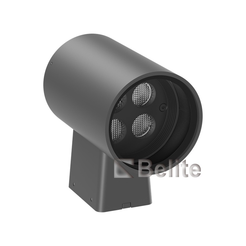 BELITE 10W up or down wall light surface mount aluminum housing