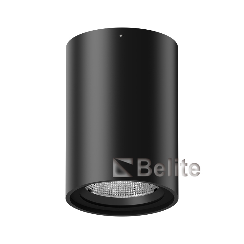 High Quality Aluminum Surface Mounted Cylindrical IP65 Outdoor Spot Light 8W 15W 30W Led Down Light