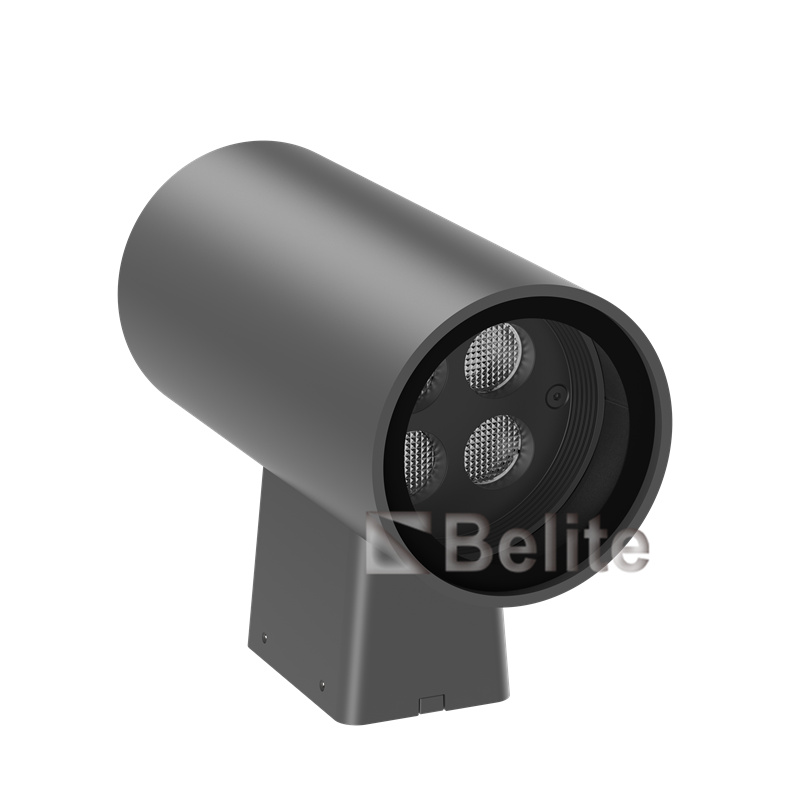 Customized 6W 12W Modern IP66 Waterproof Aluminium Outdoor Light LED Up and Down Wall Light